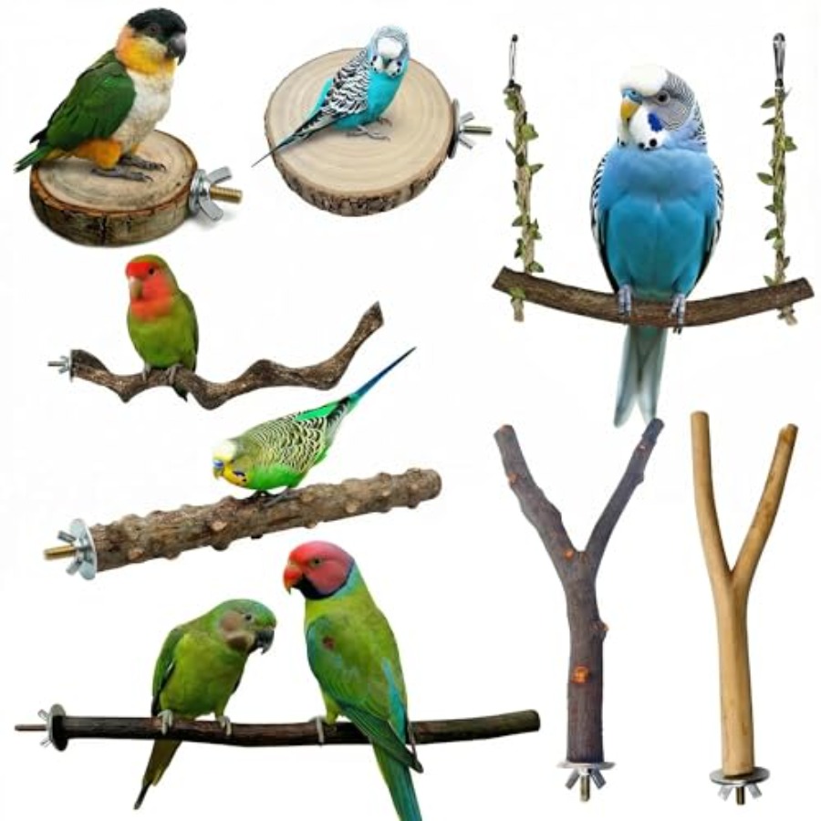 8PCS natural wood bird perches - Health & Wellness Services At Western University Photos review and price