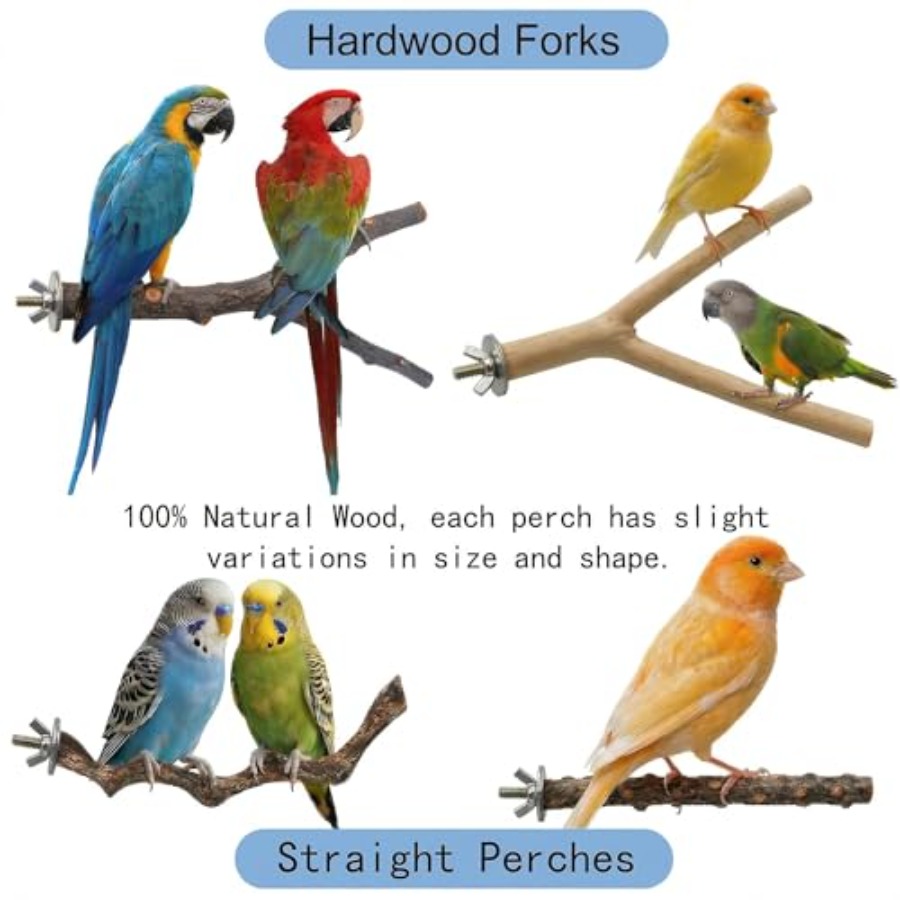 8PCS natural wood bird perches - Health & Wellness Services At Western University Photos review and price